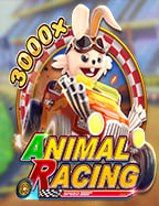 รีวิวบาคาร่าสด​จากค่าย Pragmatic Play ที่ไม่ควรพลาด