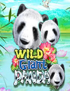 ทำความรู้จัก สล็อตออนไลน์ มือ ถือ ฟรีเครดิต เพิ่มความสนุกไม่รู้จบ